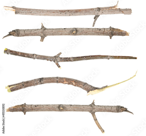 Сollage dry tree twigs branches isolated on white background. pieces of broken wood plank on white background. close-up
