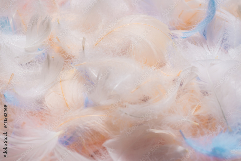 Colorful feather background, top view. Colorful feather background, top view.