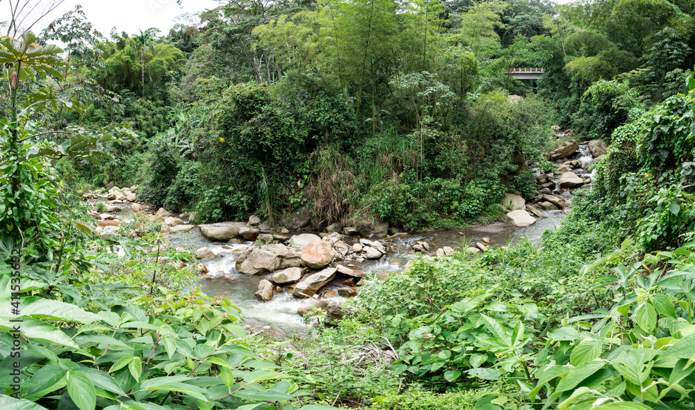 river thru the forest and bridge river thru the forest and bridge