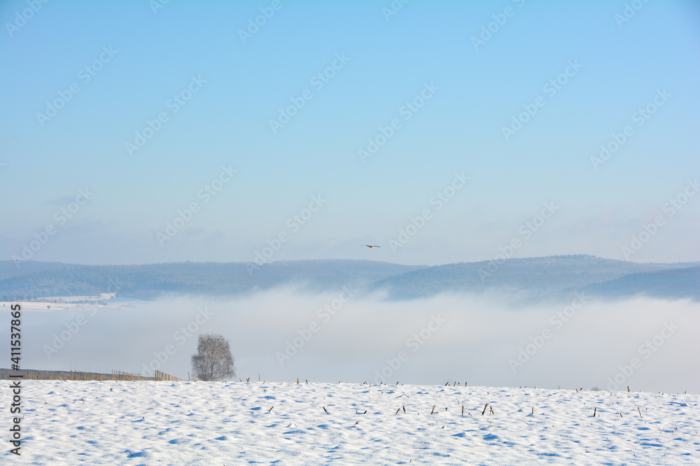 Fog in snow landscape with blue sky