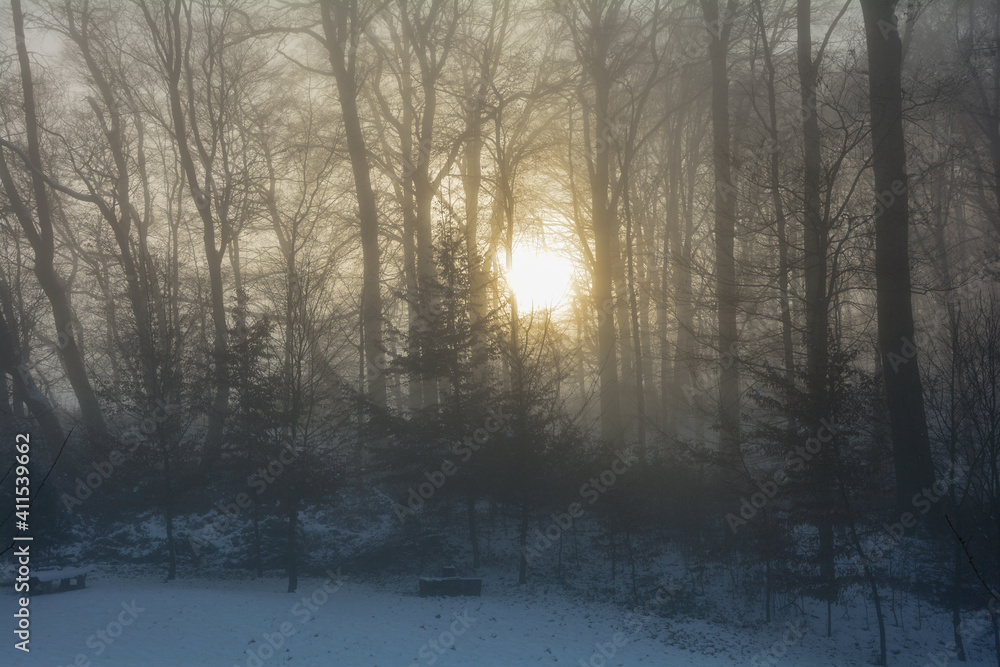 Sunrise behind a forest with fog in winter Sunrise behind a forest with fog in winter