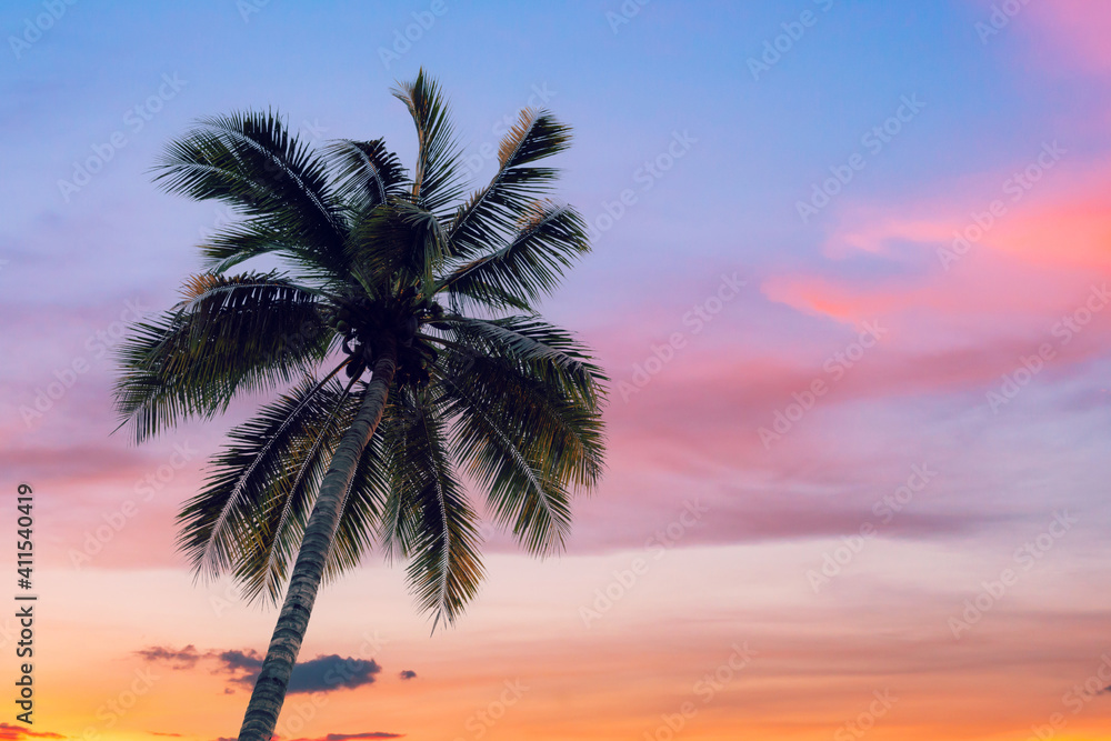 coconut palms tree and clouds twilight