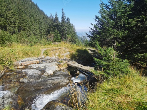 strean in the moutains