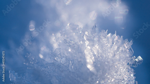 Close up of tiny ice crystals perching out from the snowy woodlands. A winter season conceptual photo.