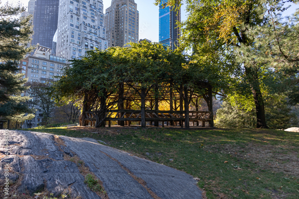 Beautiful Wood Gazebo on a Grass Hill at Central Park during Autumn in New York City