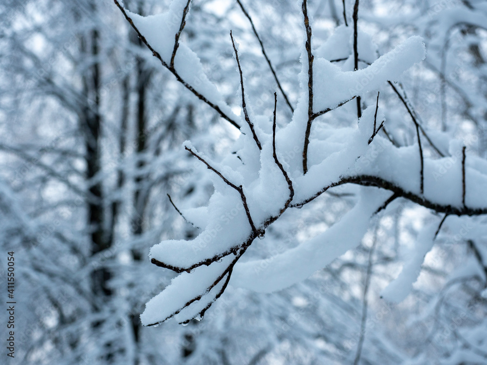 a tree branch completely covered in snow during the day in the forest