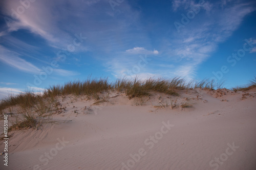 Fototapeta Naklejka Na Ścianę i Meble -  dunes,beach
