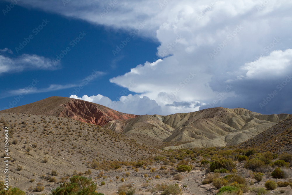 The arid desert. View of the sand, dunes, desert flora and colorful hills under a beautiful sky with clouds. 