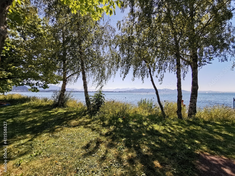 Am Bodensee