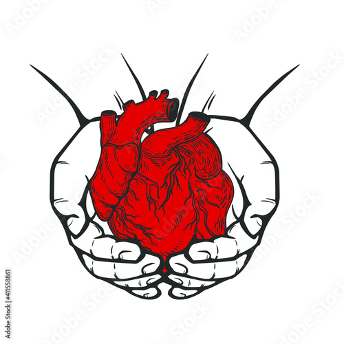 Hands holding red heart isolated on white. Vector illustration.
