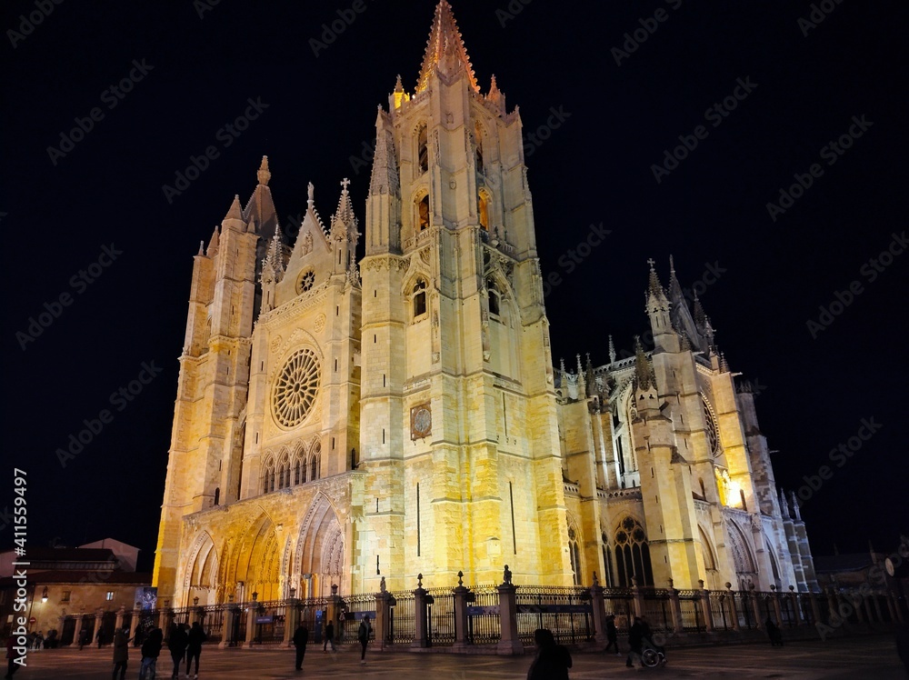 catedral de leon noche