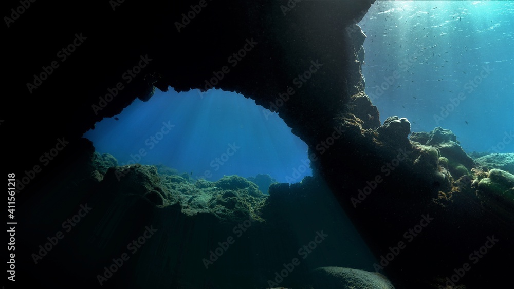 Underwater scenery with sunlight and sunbeams - obrazy, fototapety, plakaty 