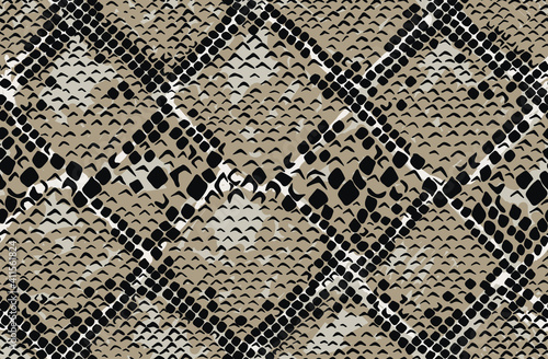 Snake skin seamless pattern. Vector illustration.