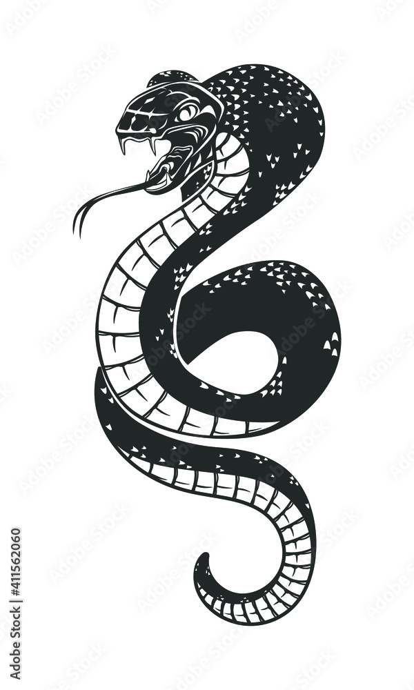 Fototapeta premium Snake isolated on white. Viper. Vector illustration.