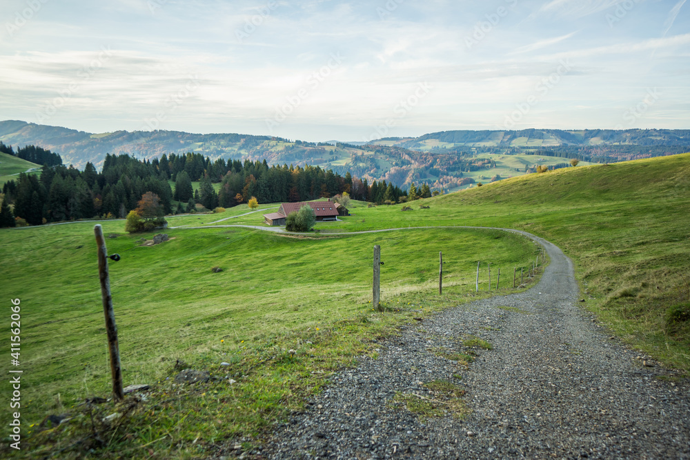 meadow on hill with forest and path meadow on hill with forest and path
