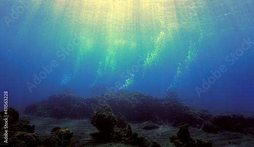 Beautiful underwater scenery and landscape