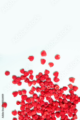 Ripe raspberry on blue background  colorful pattern  top view