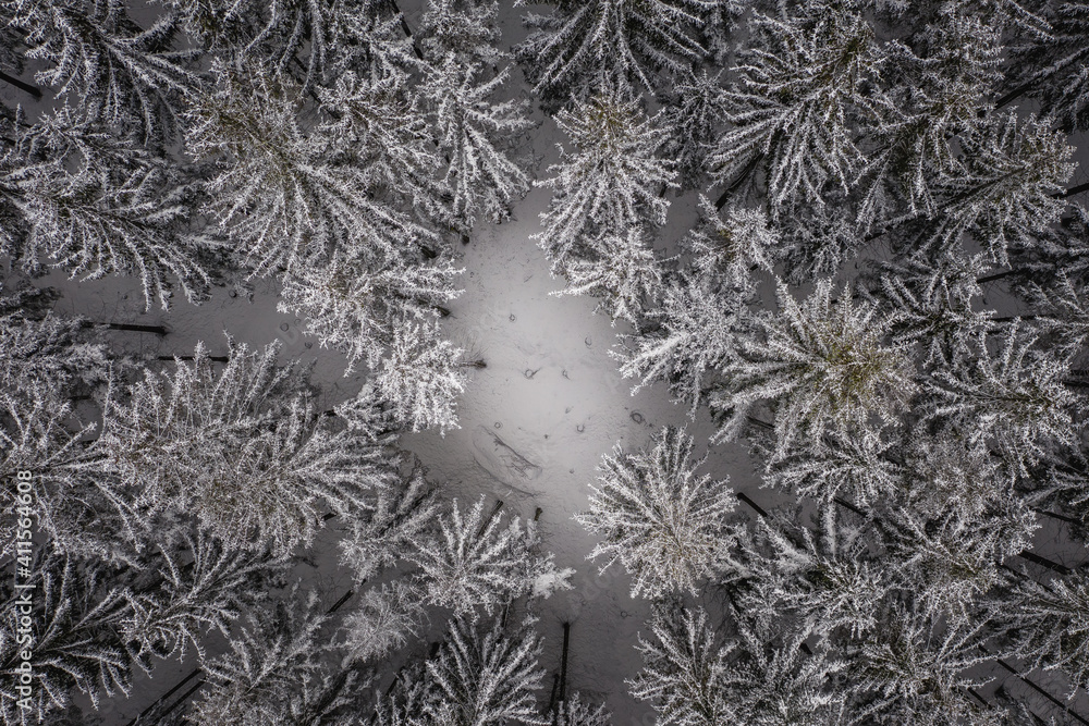 An aerial shot of winter forest scenery