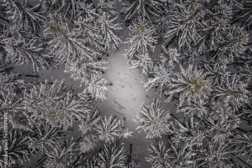 Obraz na płótnie An aerial shot of winter forest scenery w salonie