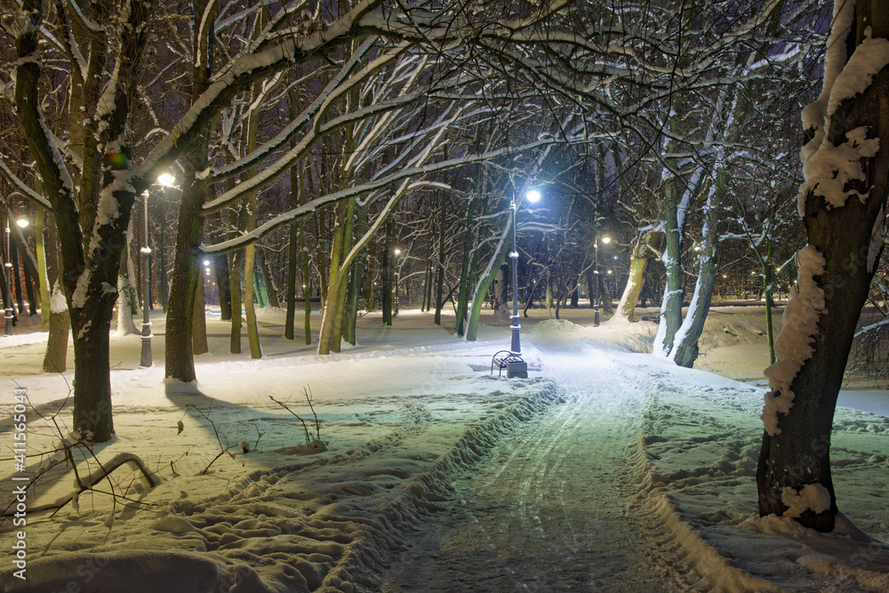 The city park is illuminated with electricity at night.