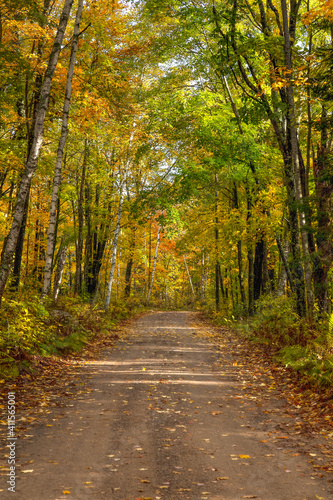 Fall Road