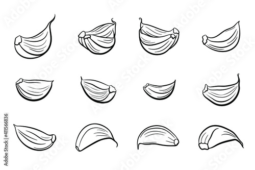 Vector set of garlic cloves isolated on white background. Dried and peeled garlic cloves. Sketch and monochrome outline drawing. Garlic vector outline illustration.