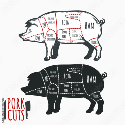 Pork cuts butchery diagram. Vector illustration.