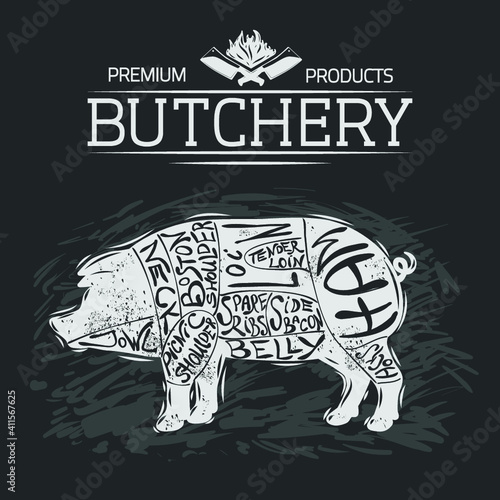 Pork cuts butchery diagram. Vector illustration.