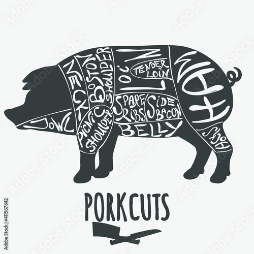 Pork cuts butchery diagram. Vector illustration.