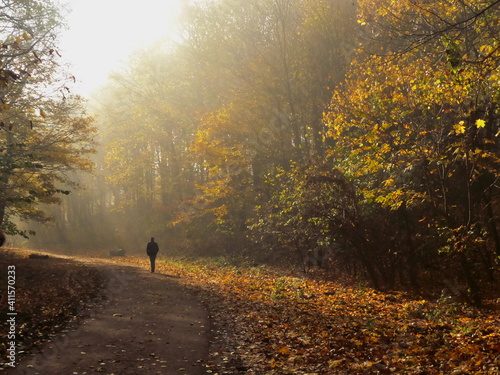 person walking in park