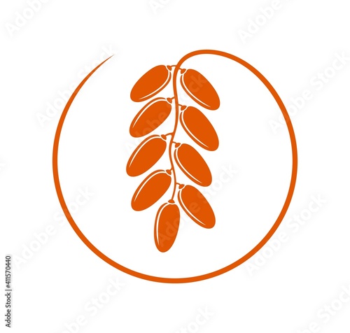 Date fruit logo. Isolated date fruit on white background