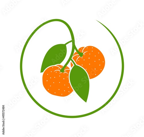 Mandarin logo. Isolated mandarin on white background