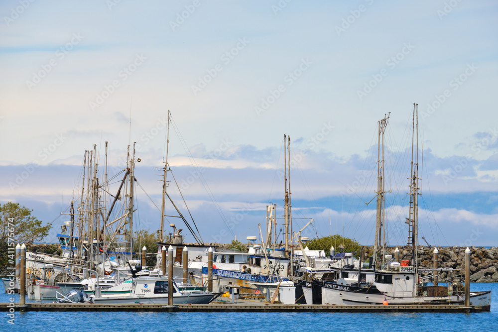 Boats floating in a marina on the pacific ocean
