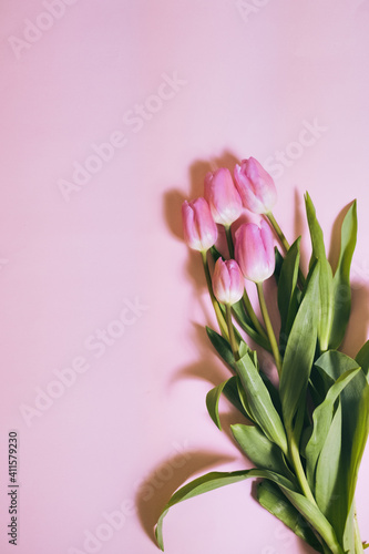 bouquet of tulips on pastel background