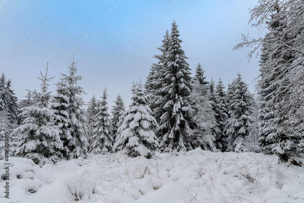 Winter im Harz auf dem Brocken, schneebedeckte Tannen im winter wonderland. Winter im Harz auf dem Brocken, schneebedeckte Tannen im winter wonderland.