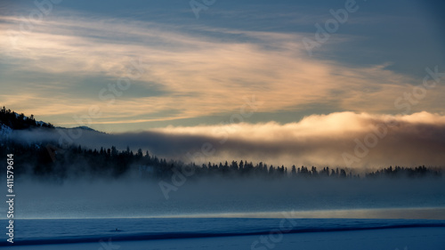Morning sunrise with fog over a forest of pine trees