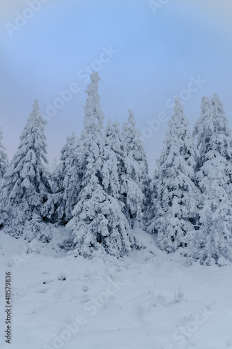 Winter im Harz auf dem Brocken, schneebedeckte Tannen im winter wonderland.  © Jørgson Photography