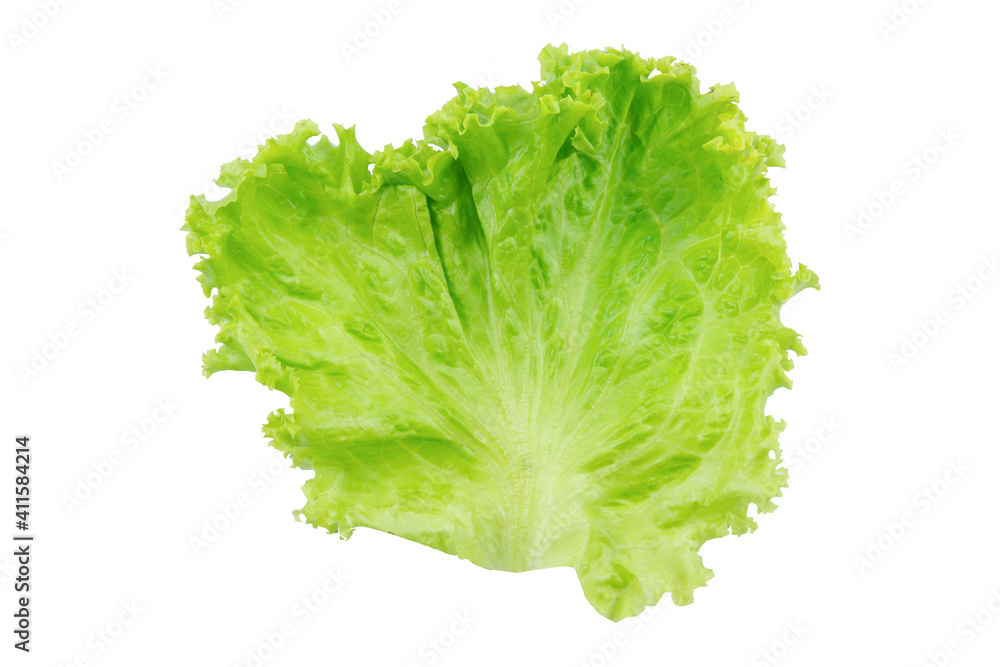 Lettuce. Salad leaf isolated on white background with clipping path Lettuce. Salad leaf isolated on white background with clipping path