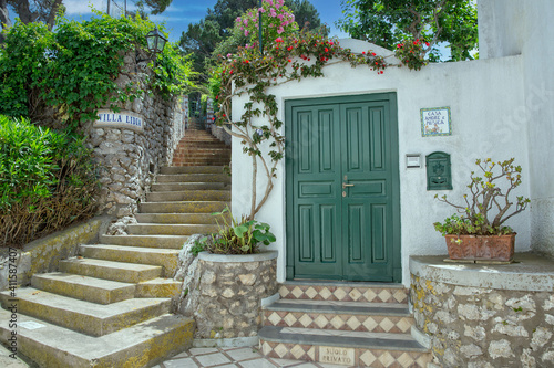Fototapeta Naklejka Na Ścianę i Meble -  Beautiful footpath full of trees and flowers on Capri Island. Typical house entrance with wooden gates and blooming flowers on the narrow streets of Capri island, Tyrrhenian sea, Italy