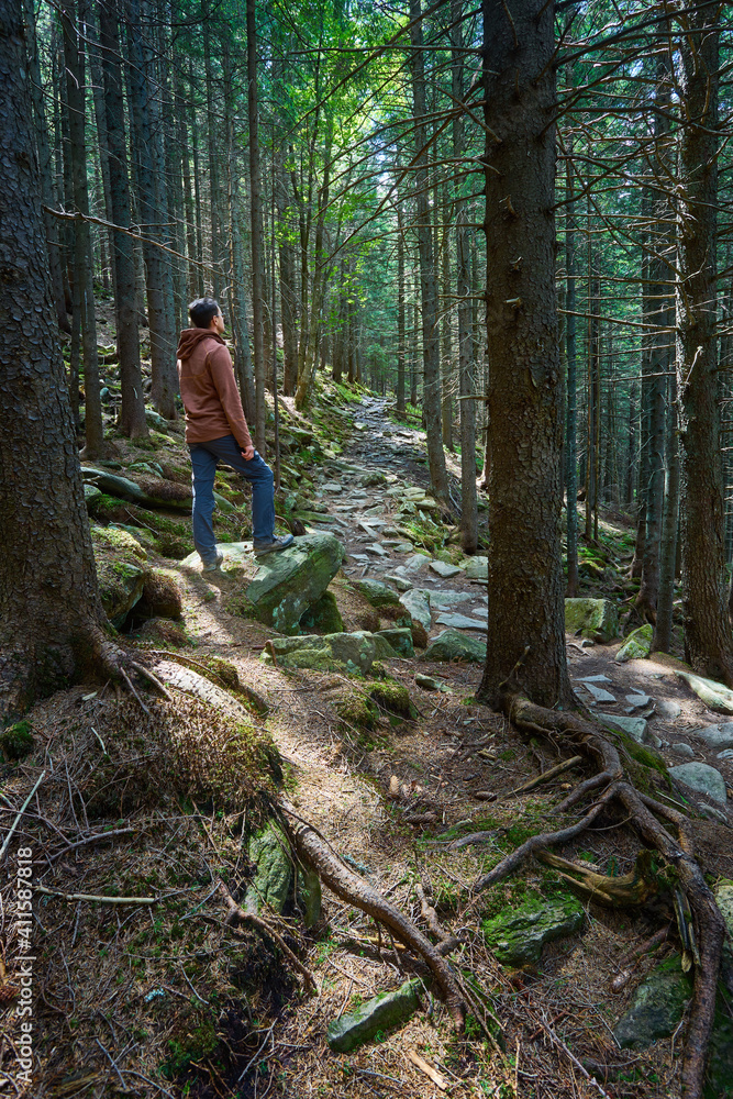 Man with hiking equipment walking in forest Man with hiking equipment walking in forest