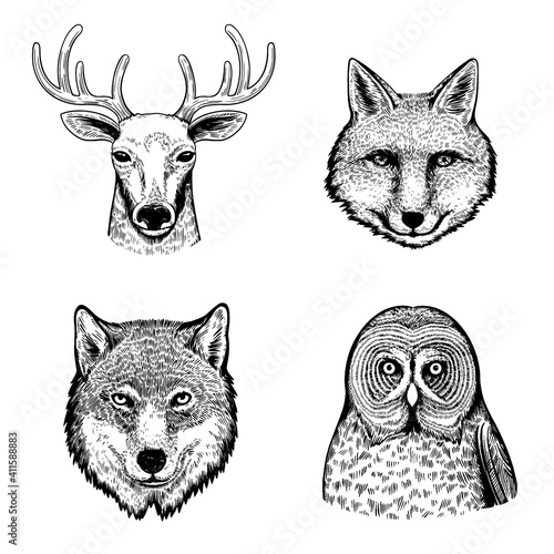 Set with cute black and white hand drawn portraits of forest animals and birds.  photo