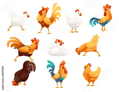 Set of adorable cock animal for farm agriculture hen rooster cartoon animal design vector illustration