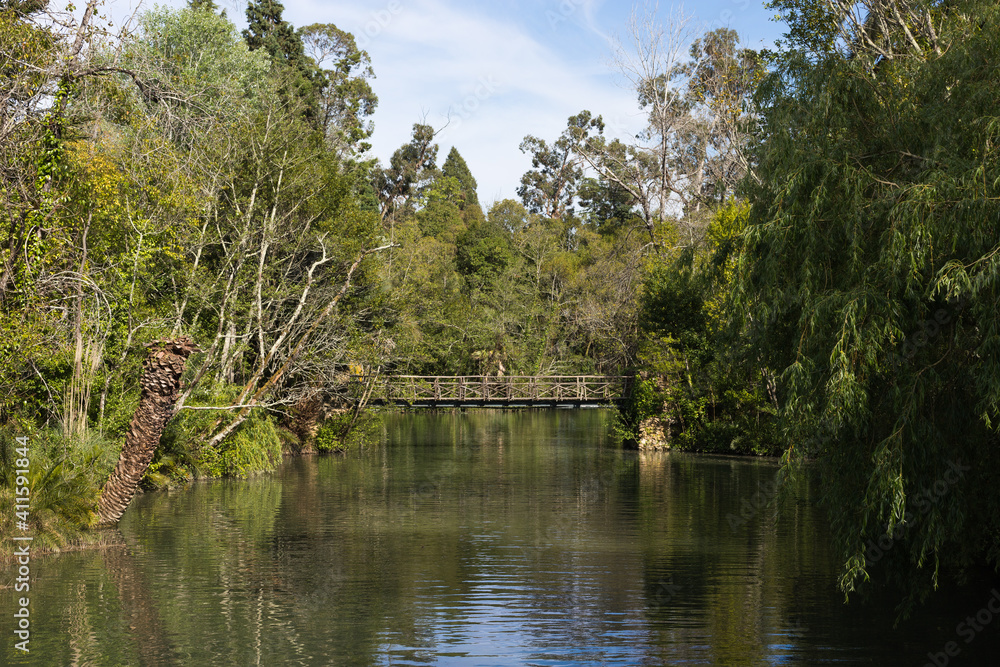 Beautiful lake in Curia park. Parque das Termas da Curia, Portugal Beautiful lake in Curia park. Parque das Termas da Curia, Portugal