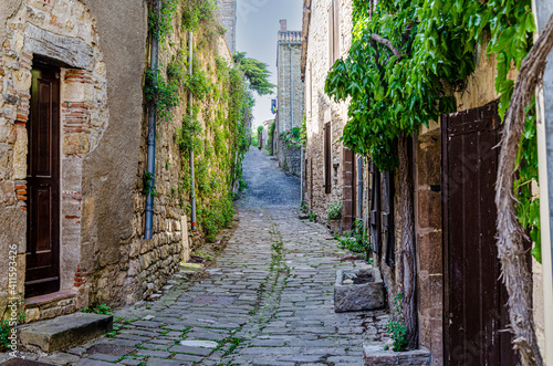 Fototapeta Naklejka Na Ścianę i Meble -  cordes sur ciel and its medieval cobbled streets. France