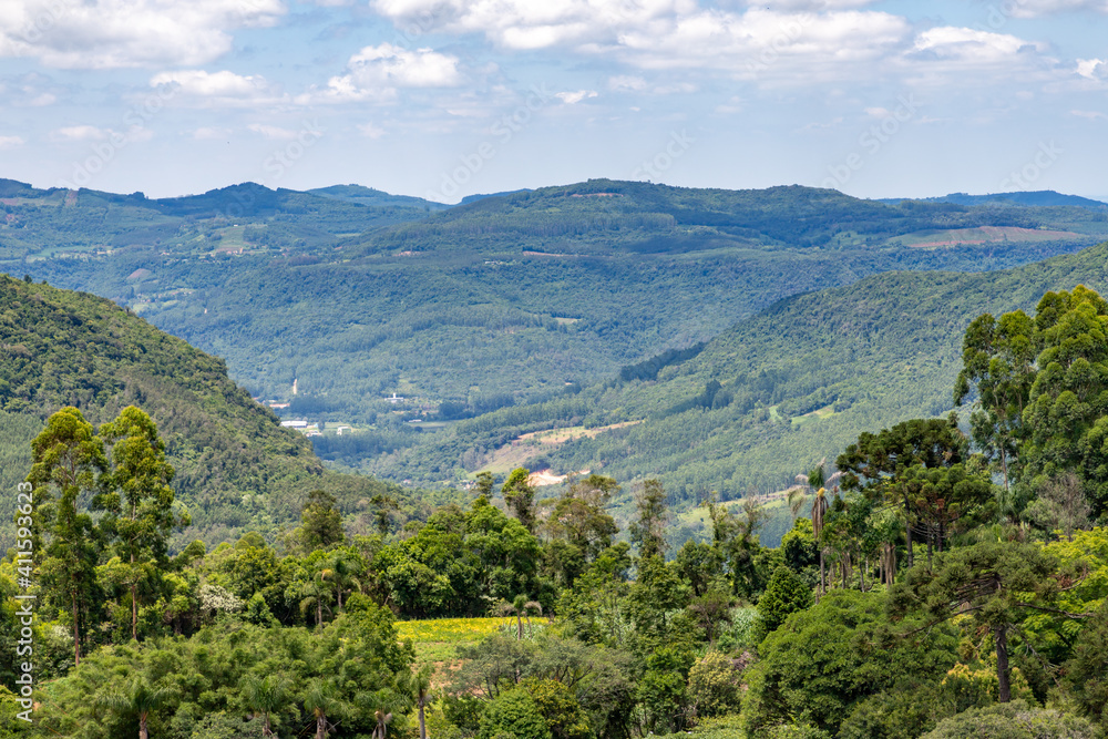 Fototapeta premium Valley with farm and forest
