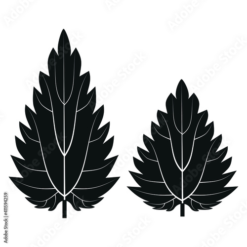 Two nettle leaves silhouette with contours on a white background