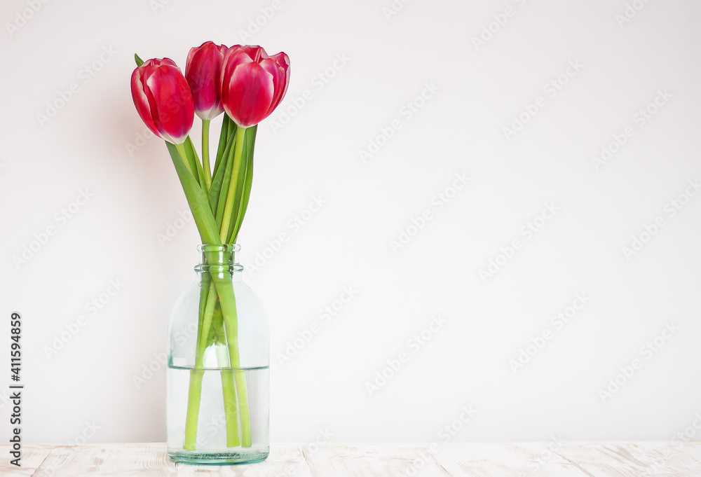tulips in a glass vase on a white wall background tulips in a glass vase on a white wall background