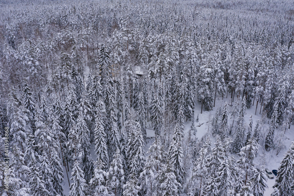 Endless winter, snowy forest. Photo from the drone. Scandinavian nature, Finland. Nuxio, cloudy day, ate in a dream Endless winter, snowy forest. Photo from the drone. Scandinavian nature, Finland. Nuxio, cloudy day, ate in a dream