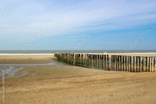 Wave breaker made of wooden stakes on the beach  Renesse  Netherlands