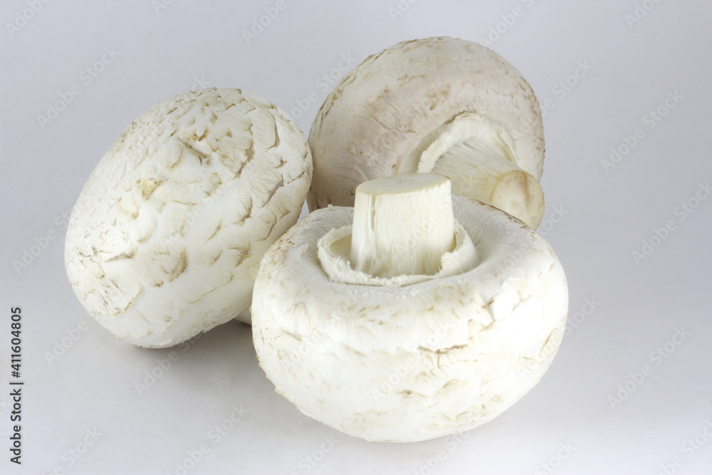 three champignons on a white background three champignons on a white background